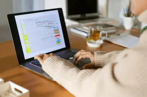 Custom Excel programming services